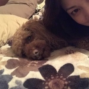 Meet your Posher, Catherine